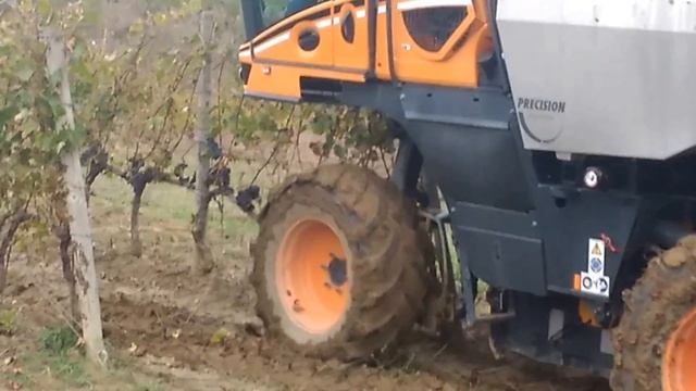 Современная уборка винограда. смотреть онлайн