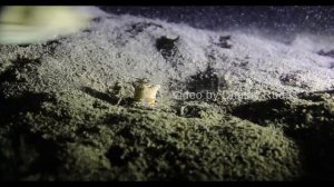 Огромный червь из глубин океана. Он затаскивает своих жертв под землю!