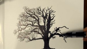 Как научиться рисовать дерево|силуэт