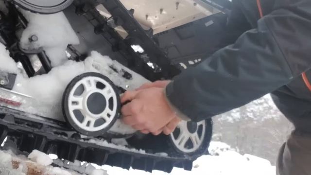 Nordic United-Bear cat 7000 xt back смотреть онлайн