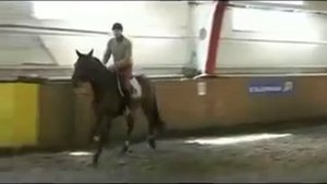Конкур. Джордж Моррис в седле. Посадка.