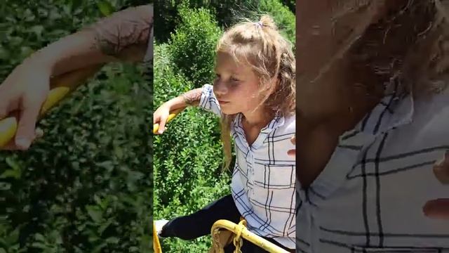 поход в Горы.Домбай