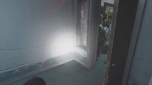 VISAGE З. Л. О Приятного просмотра