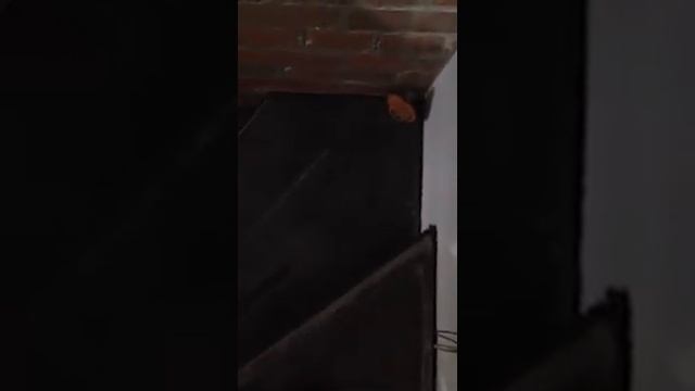 Угловая двухмаршевая лестница из бетонных ступеней смотреть онлайн