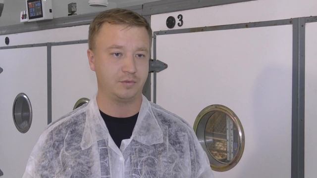 Куриная ферма. Ульяновские аграрии реализуют инвестпроект по строительству птицефермы