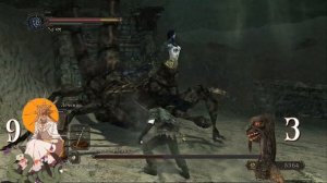 Палач Вендрика! Полезный Бес, Либрариум и Dark Souls 2!