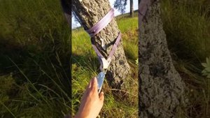 Проверка рычажной ручной лебедки на 4 тонны. Тест пройден. Вещь незаменимая в Ниве либо в джипе ?