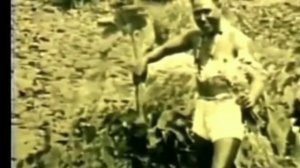 Питание и вырождение на примере диких племён.