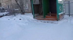 Влог я почистила Снег 17 01 2024 года?️⛅