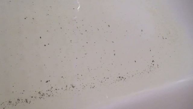 ЧИСТКА СТИРАЛЬНОЙ МАШИНЫ ЛИМОННОЙ КИСЛОТОЙ смотреть онлайн