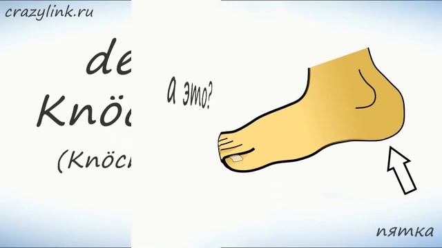 Нога (тело человека). Слова на немецком смотреть онлайн
