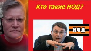Кто такие НОД и депутат Фёдоров?