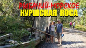 Янтарный тур по Куршской косе,от Рыбачего до Морского.От дюны с рыцарем до шашлыка по калининградски