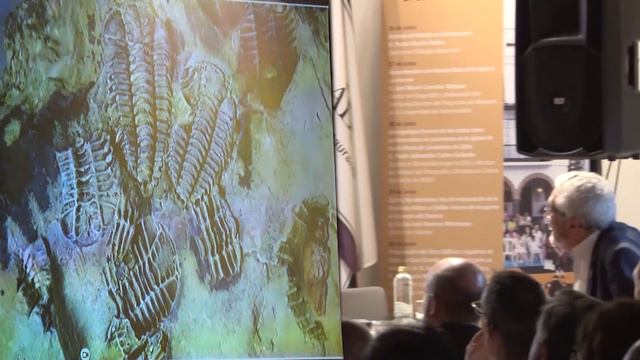 Jornadas de Historia de Zafra y el Estado de Feria (II) 2023 смотреть онлайн