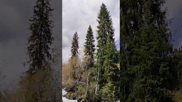 Кыргызстан, ущелья Чычкан. autumn ?? смотреть онлайн