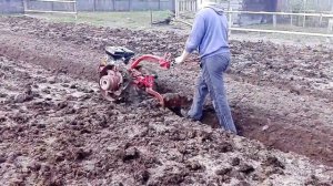 Вспашка огорода мотоблоком Беларус-09Н МТЗ ч3