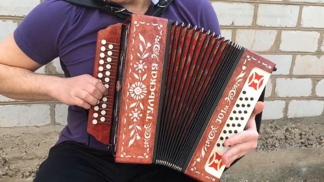 Гармонь Тульская 301м