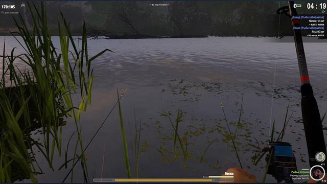 The Fisher Online ▶ ловим/СТЕРЛЯДЬ/ смотреть онлайн