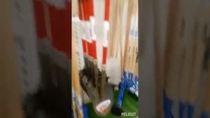 Франция,?? выбираю лопату для металлокопа, цены ,,космос,,???