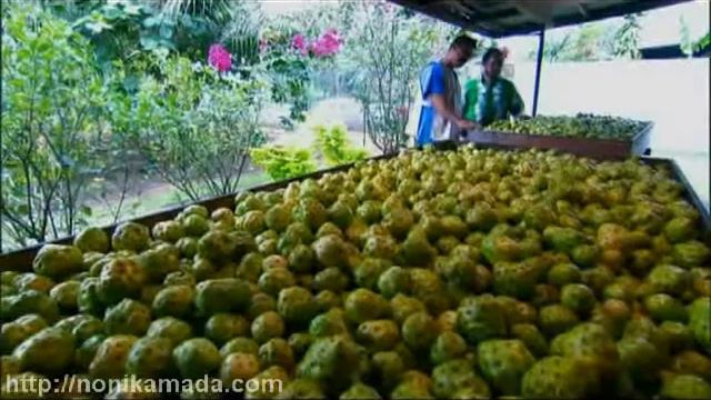 От Дерева до Бутылки часть1.avi смотреть онлайн