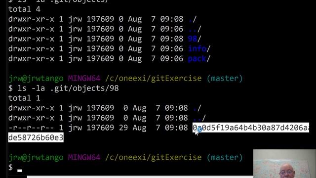 gitIntroBlobs смотреть онлайн