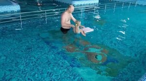 База Мотор в Приморске. Азовское море.
