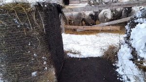 Где найти зимой червей для рыбалки.