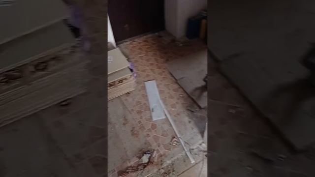 Полы сгнили за два года #стройка #деревянныеполы #вытяжка #ремонт #