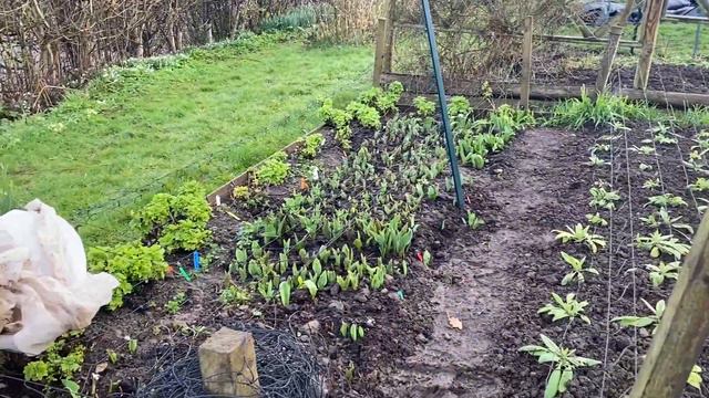 March 4th 2022 Garden Tour смотреть онлайн