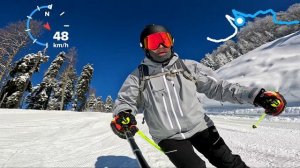 Роза Панорама