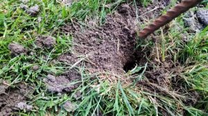 Борьба с кротами. Как выгнать крота с дачного участка.