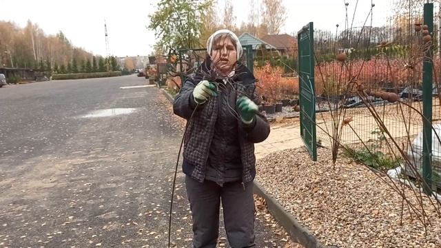 Дежурство в дружбе 24.10.23. Как красиво погнуть наши цветочки. смотреть онлайн