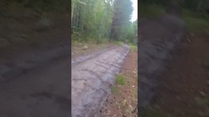 парю кнайт 80