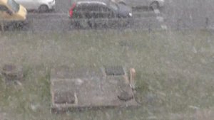 "А за окном бушует месяц май".... Санкт-Петербург_10 мая 2017