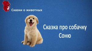 Сказка про собачку Соню. Сказки для детей.