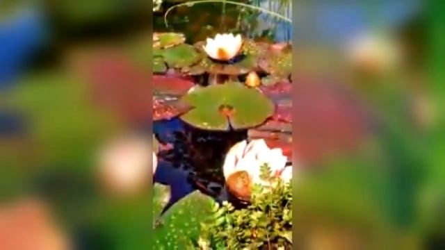 Размытие краев смотреть онлайн