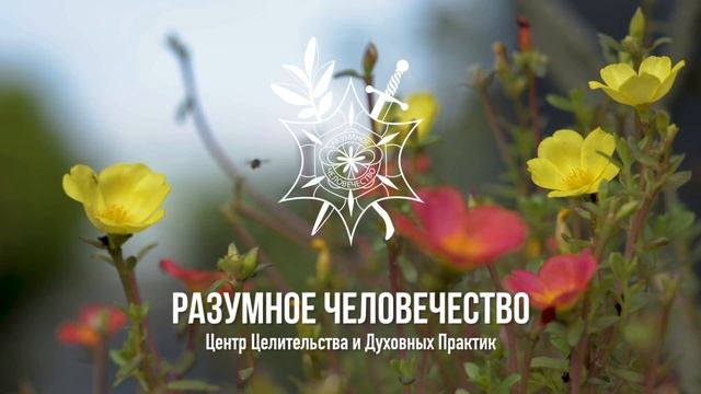 Крым – Место Силы смотреть онлайн