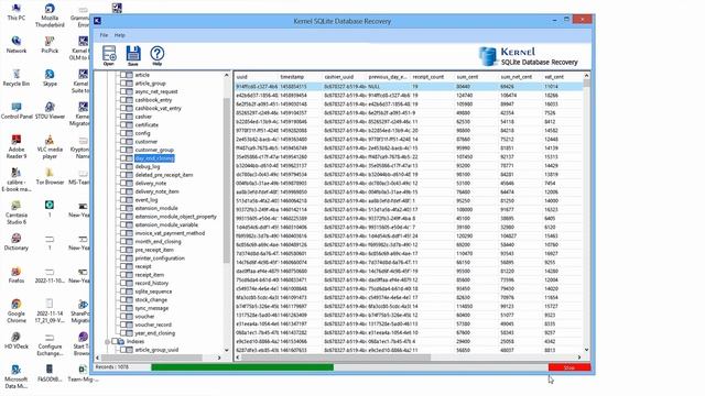 Kernel SQLite Database Recovery
