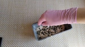 Мультизлаковый хлеб