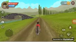 ВИЛД КРАФТ ПРОХОЗДЕНИЯ