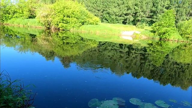 Клюет одна за одной.Атака щуки!Рыбалка у дома на поплавок в июне 2023. смотреть онлайн