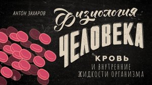 Человек-бублик! Кровь и внутренние жидкости организма. Физиология человека — 12 урок