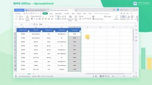 [WPS Academy] 1.4.3 Excel: Quickly filter classified data