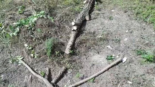ЗАГОТАВЛИВАЮ ДРОВА.НЕ ЗНАЮ ЧТО БУДЕТ ДАЛЬШЕ. ПОЛЬСКАЯ ВОДА смотреть онлайн