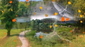 Валерий Залкин ~ ЖУРАВЛИ ~ Из коллекции мировых шедевров.