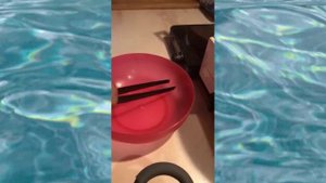 #вкусно #еда #соя#кухня #готовка как готовить острый шницель из сои...