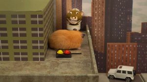 If Hamster Was In Rainbow Friends With All Monsters ? Hamster Maze In Real Life