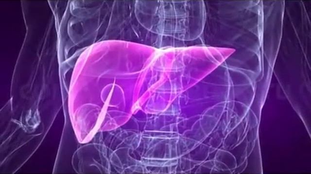 гриб кордицепс.польза смотреть онлайн