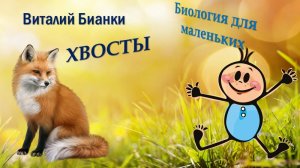 В.БИАНКИ "ХВОСТЫ"