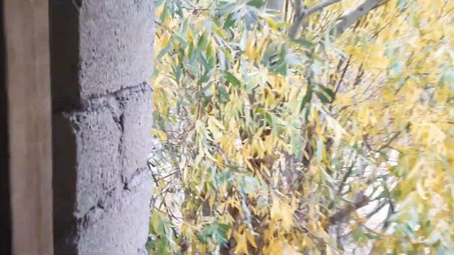 3 марта 2022 г. смотреть онлайн